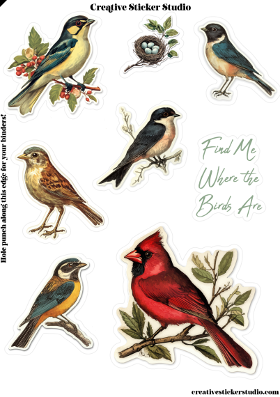 Sticker Sheet Set of 2 - Birds 1 Find Me