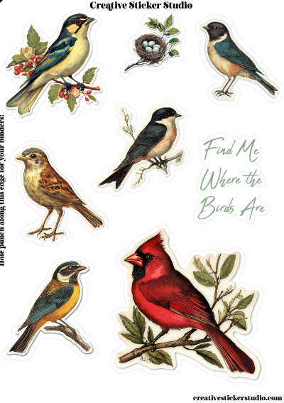 A sheet of bird-themed stickers with illustrated birds perched on branches, a nest with eggs, and the text 'Find Me Where the Birds Are.' The brand name 'Creative Sticker Studio' appears at the top and along the left edge.